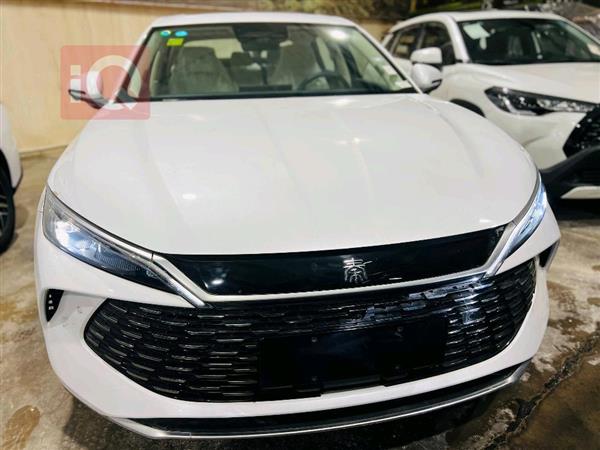 بي واي دي كوين L DM-i 2025 للبيع في العراق - النجف